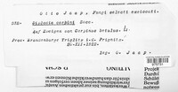 Image Associated With the Occurence